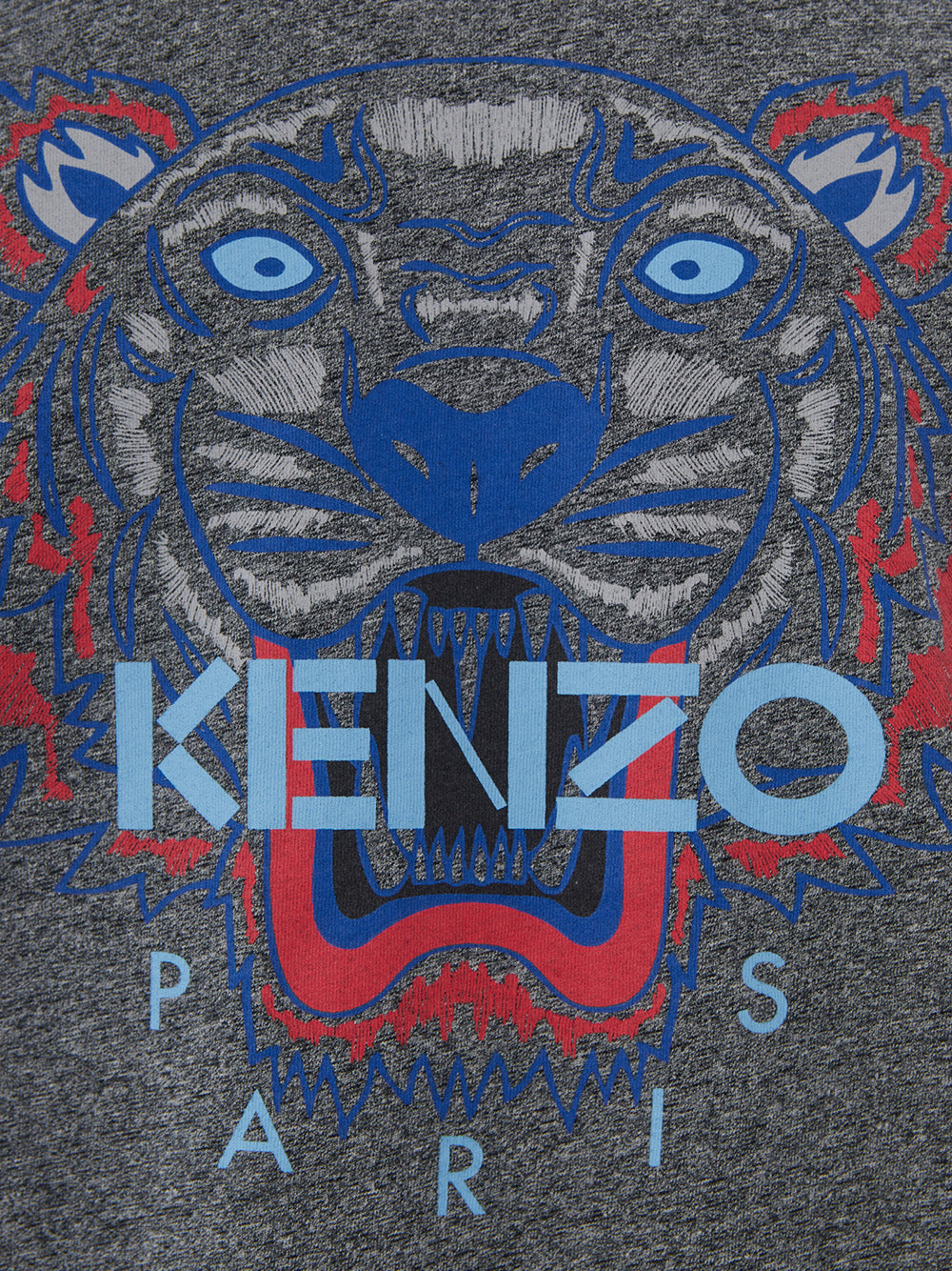 Rey Cotton T-Shirt with Tiger Print and Blue Logo