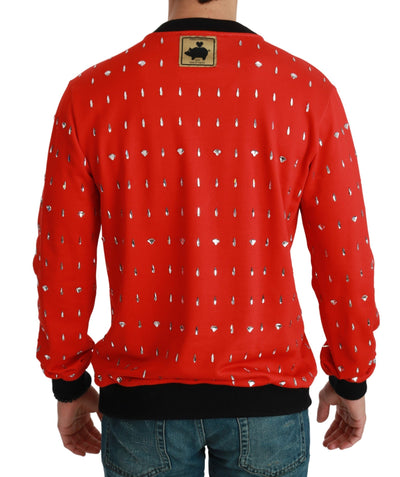 Red Crystal Pig of the Year Sweater