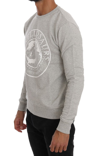 Gray Cotton Crewneck Pullover Sweater