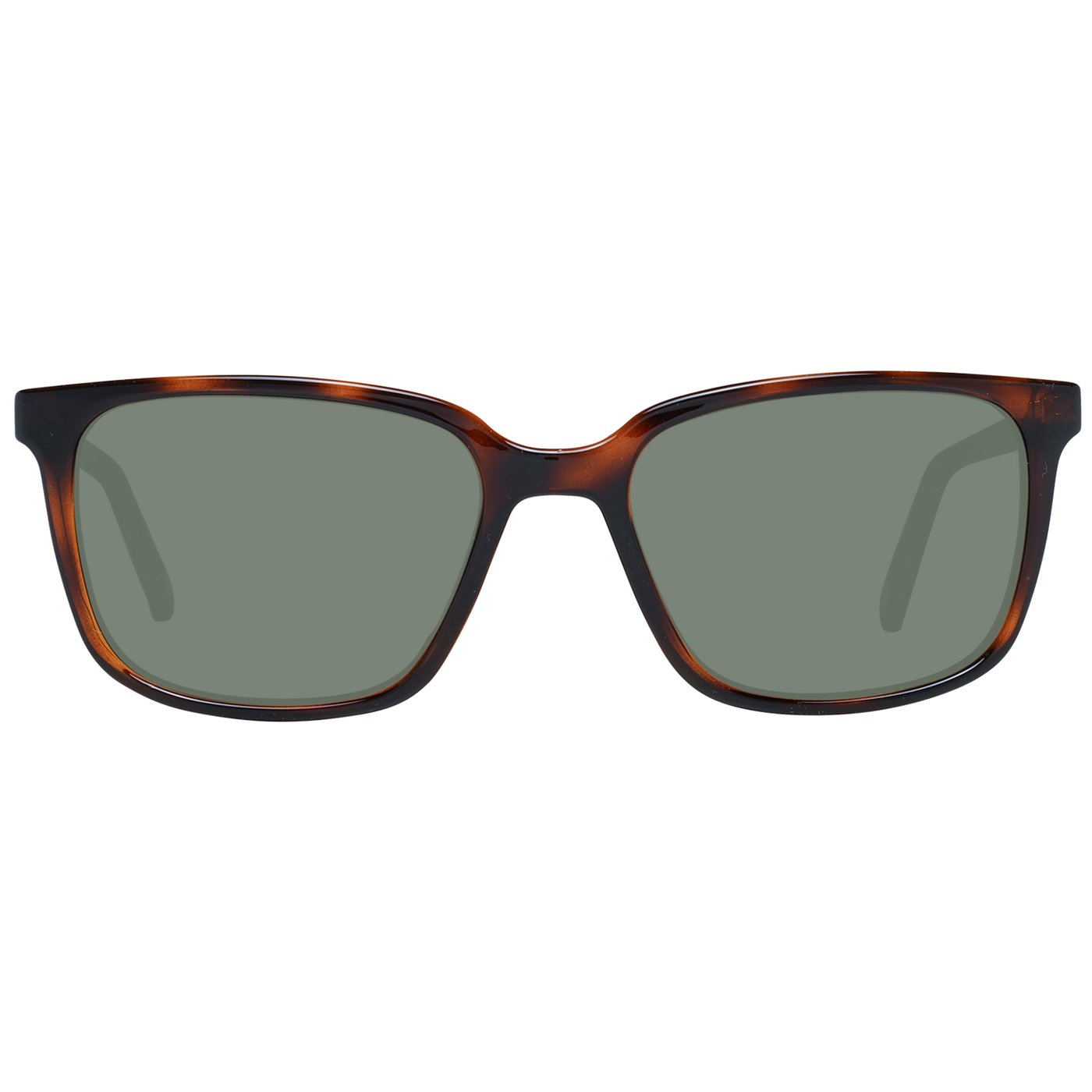 Brown Men Sunglasses