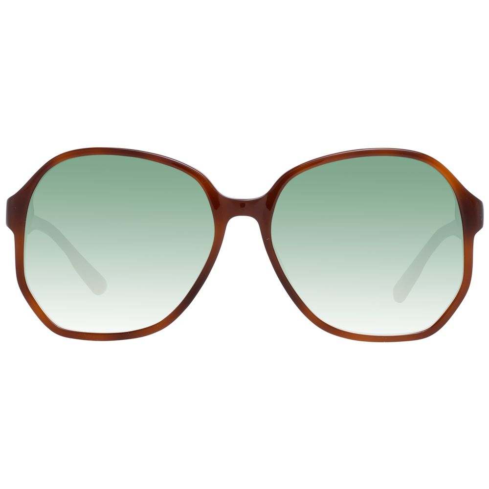 Brown Women Sunglasses