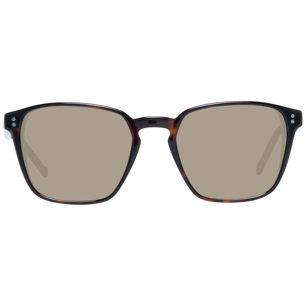 Brown Men Sunglasses