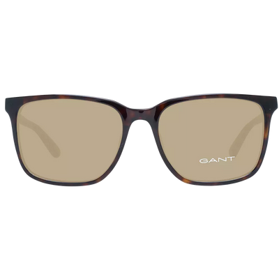 Brown Men Sunglasses