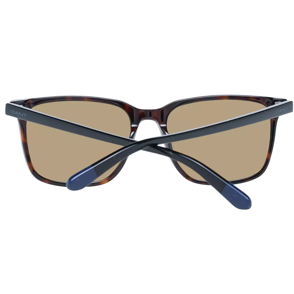 Brown Men Sunglasses