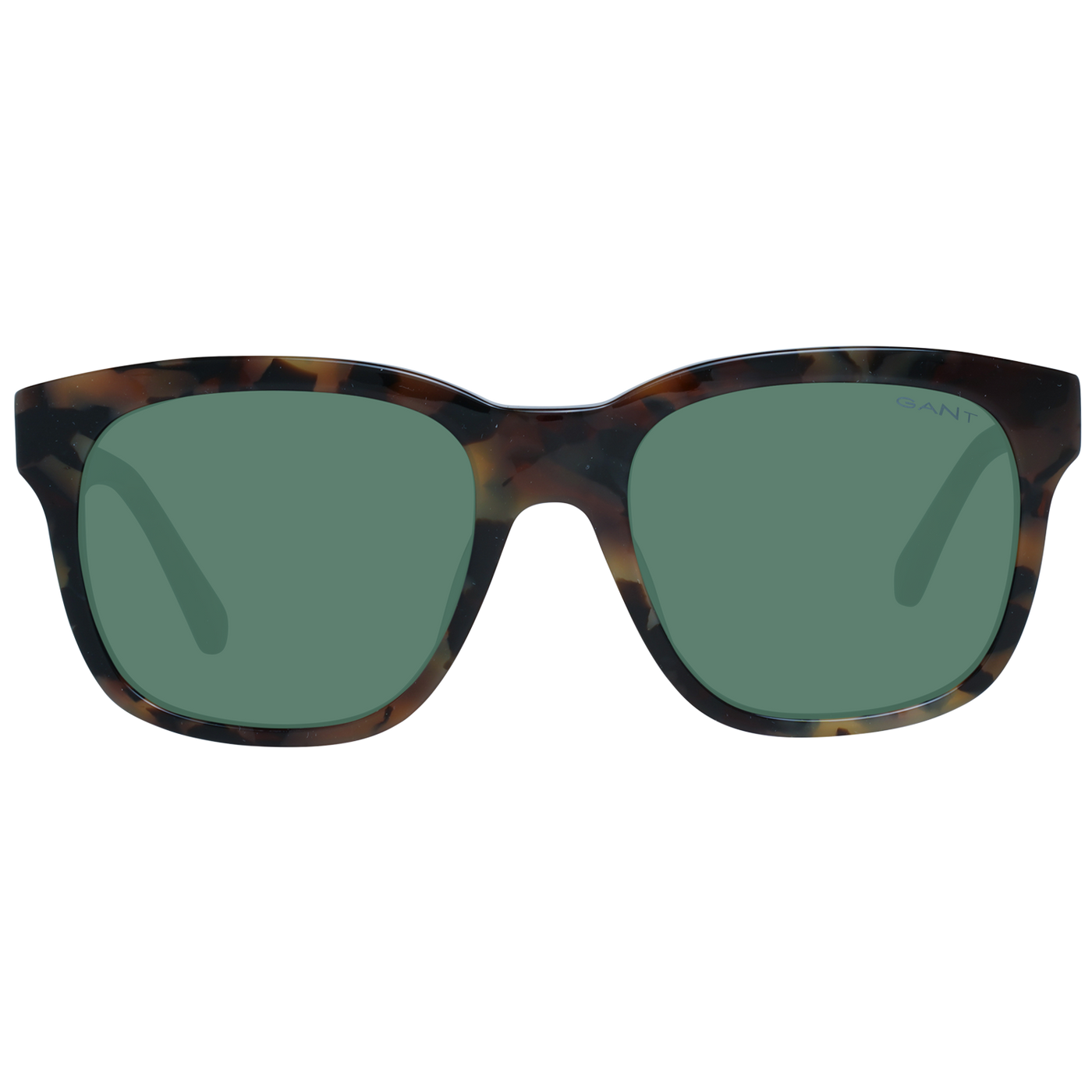 Brown Men Sunglasses