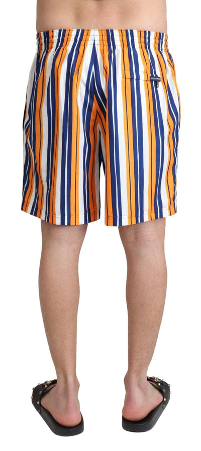 Multicolor Striped Beachwear Swimshorts