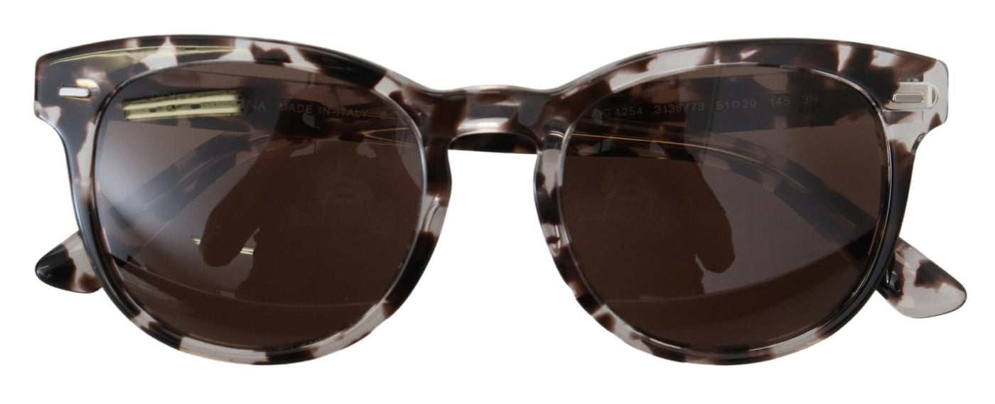 Brown DG4254 Havana Frame Round Lens Sunglasses