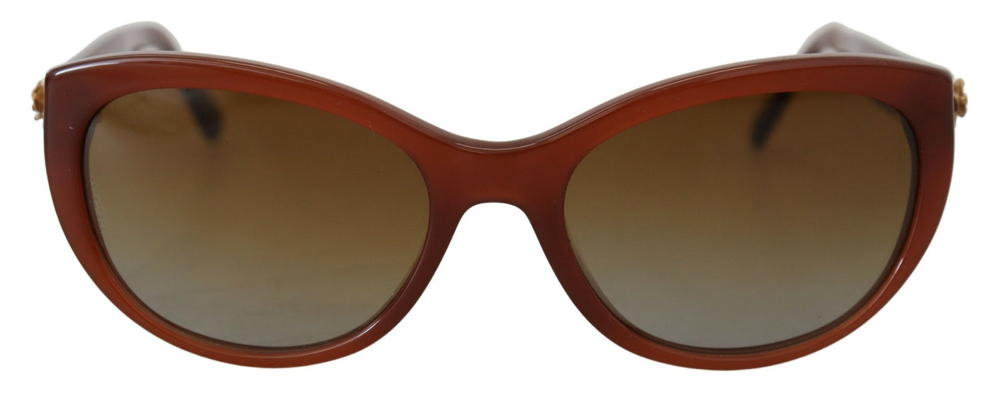 Brown Acetate Full Rim DG4160 Polarized Sunglasses