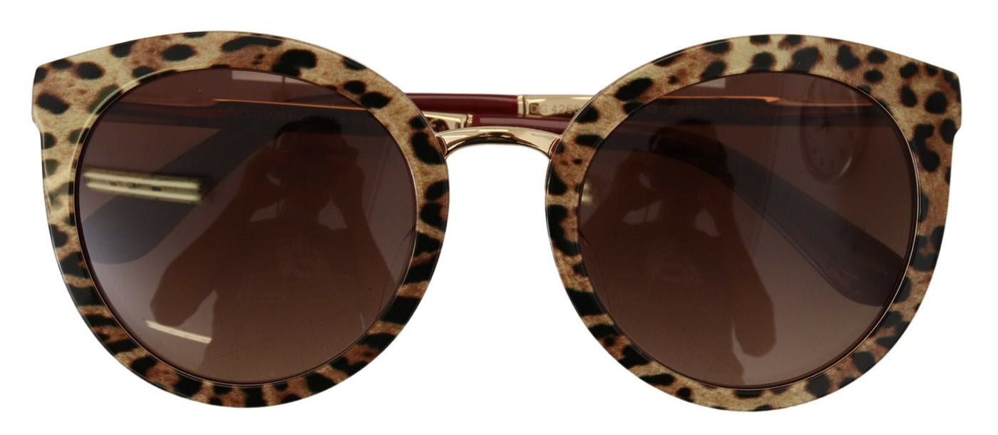 Brown DG4268F Leopard Acetate Non Polarized Sunglasses