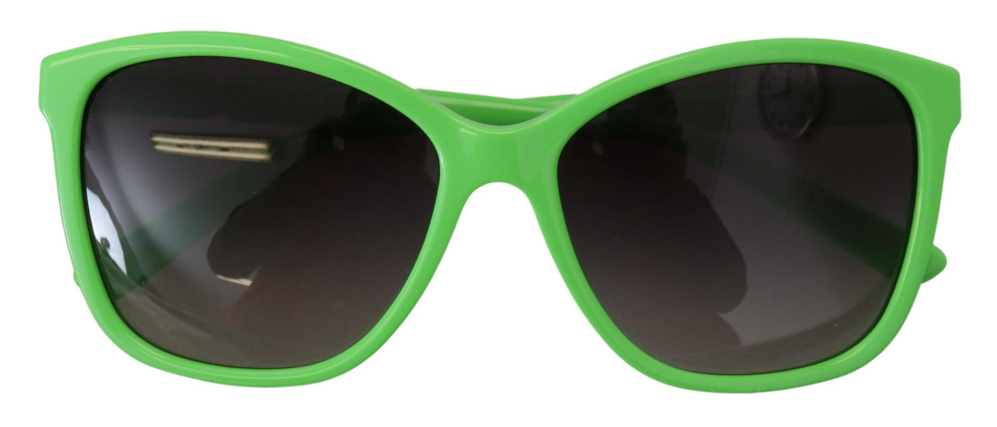 Green Acetate Frame Round Shades DG4170PM Sunglasses