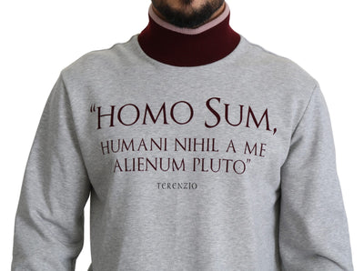 Gray Homo Sum Turtleneck Pullover Sweater