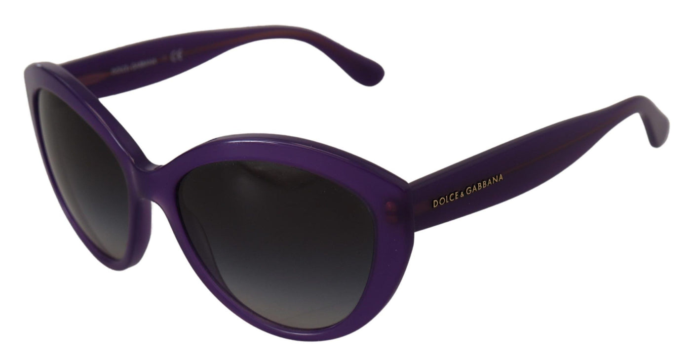 Purple Translucent Cat Eye Frame DG4239 Sunglasses