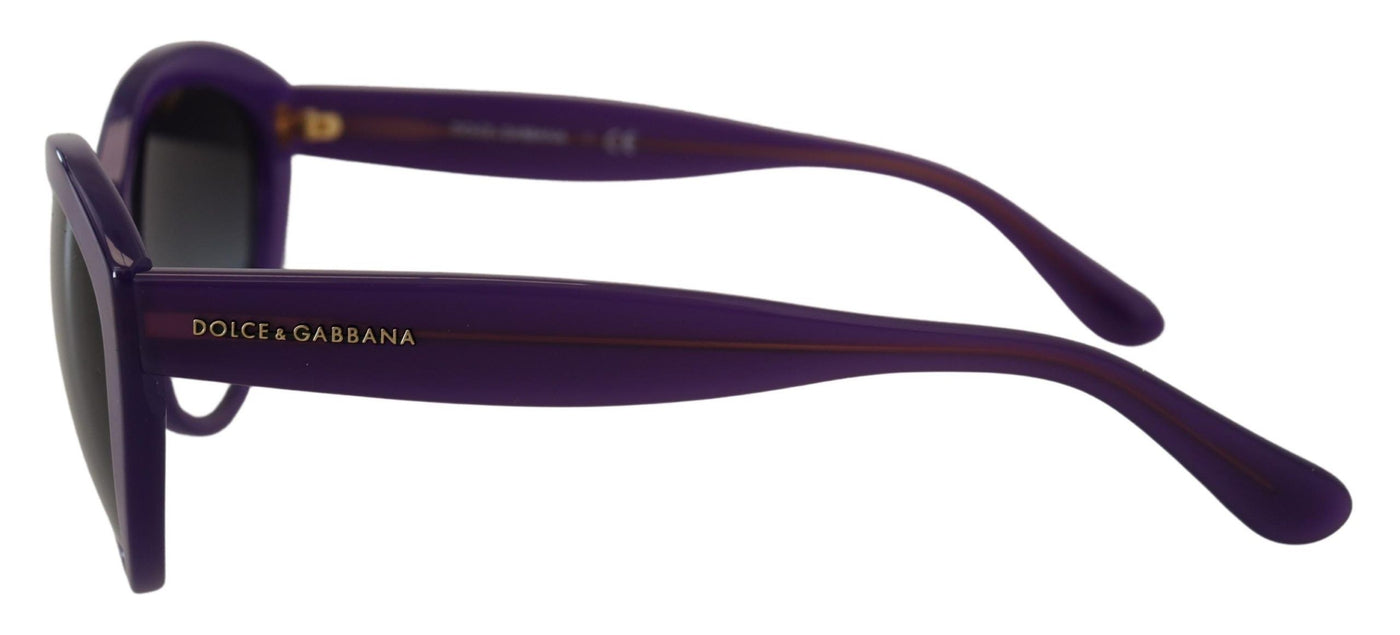 Purple Translucent Cat Eye Frame DG4239 Sunglasses