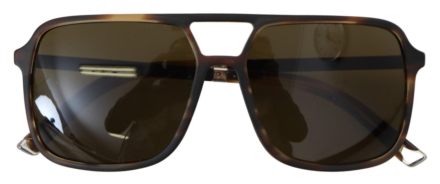 Brown Basalto Collection Brown Acetate Women Shades Sunglasses