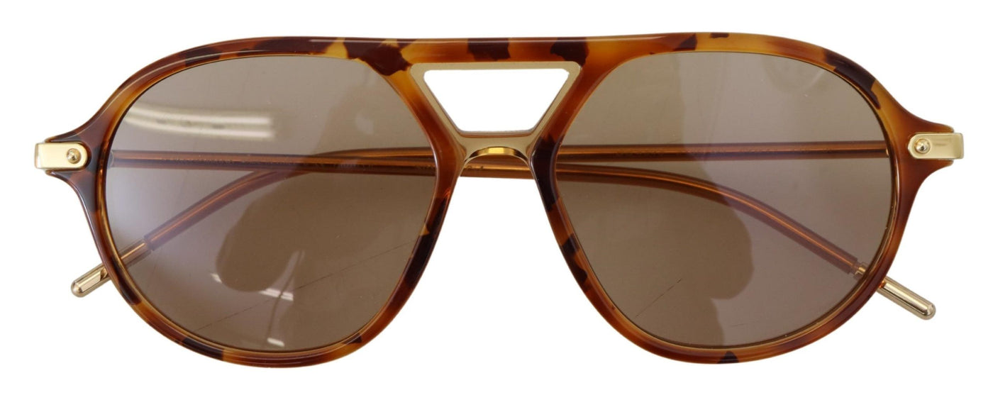 Brown Havana Acetate Frame Pilot Shades DG4343 Sunglasses