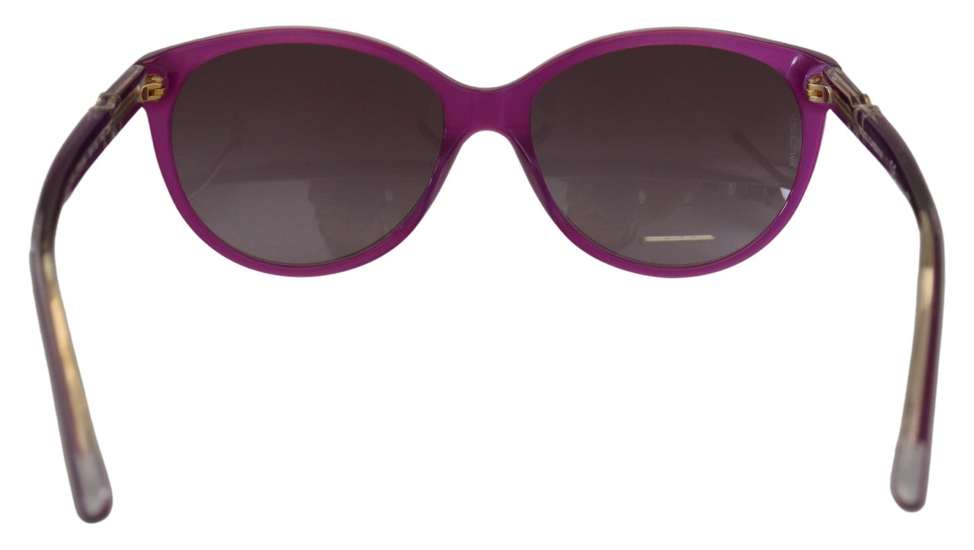 Purple Acetate Frame Round Shades DG4171P Sunglasses