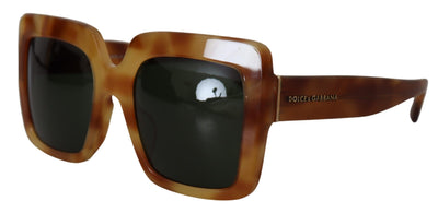 Brown Havana Camel Acetate Square Frame DG4310F Sunglasses