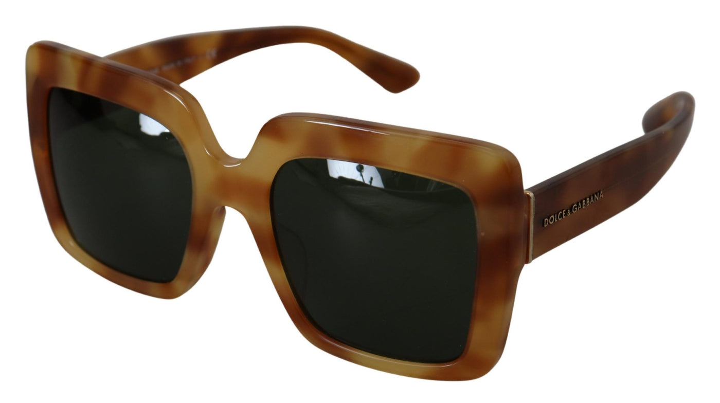 Brown Havana Camel Acetate Square Frame DG4310F Sunglasses