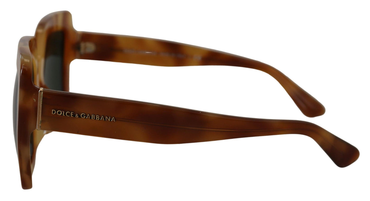 Brown Havana Camel Acetate Square Frame DG4310F Sunglasses