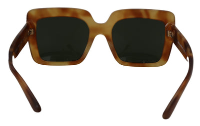 Brown Havana Camel Acetate Square Frame DG4310F Sunglasses