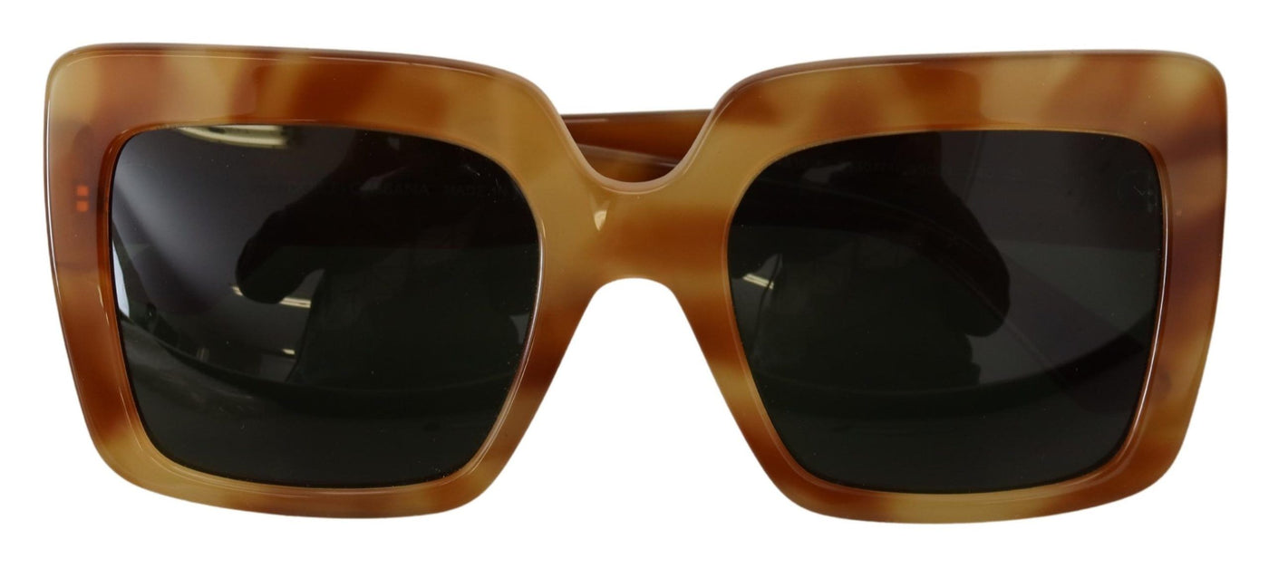 Brown Havana Camel Acetate Square Frame DG4310F Sunglasses