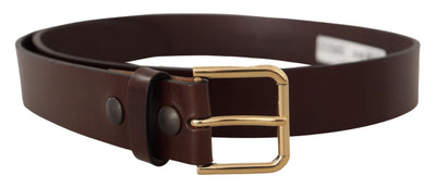 Brown Polished Leather Gold Tone Metal Buckle Belt