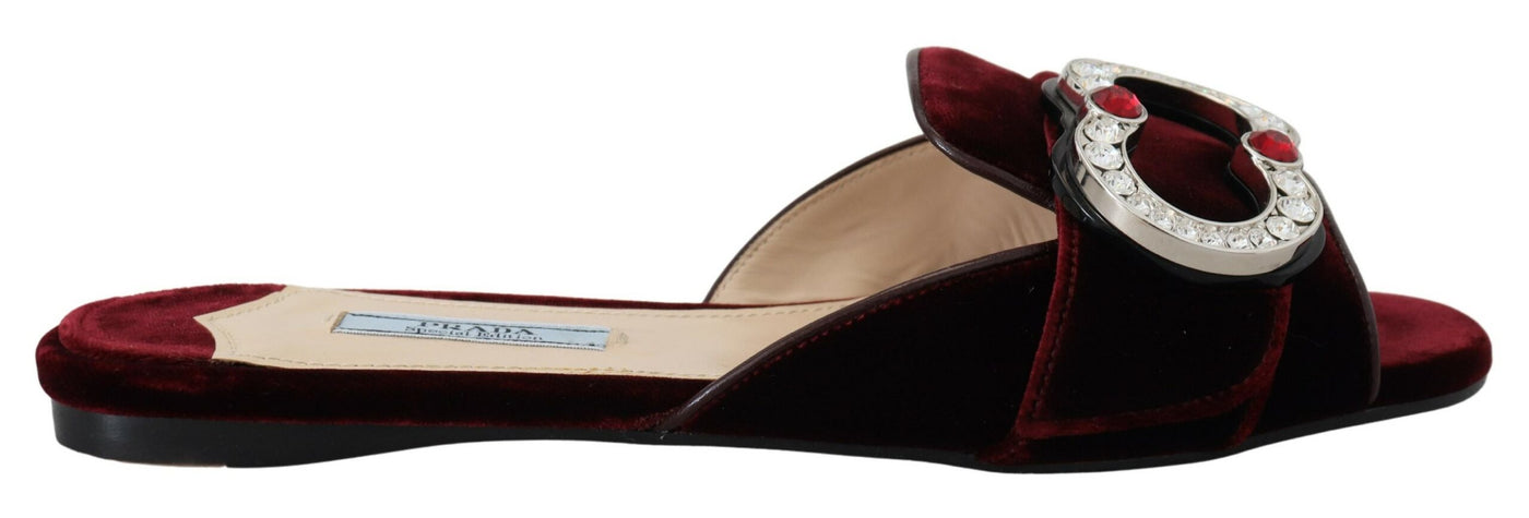 Bordeaux Velvet Embellished Slip On Flats Shoes