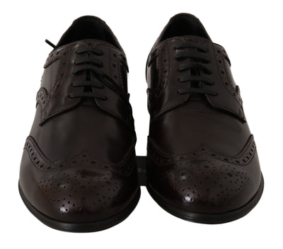 Brown Leather Broques Oxford Wingtip Shoes