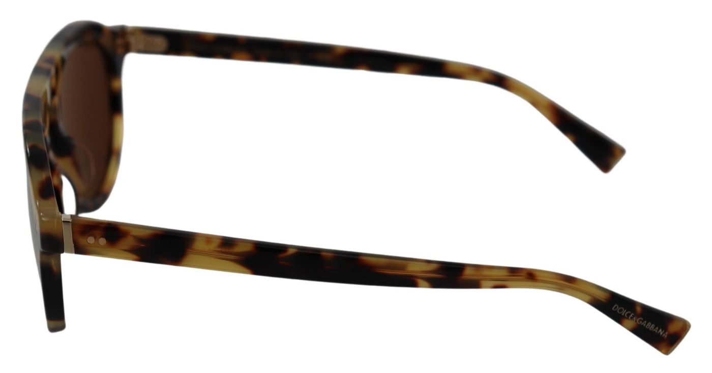 Brown Tortoise Oval Full Rim Sunglasses